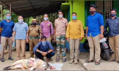 குமரியில் வெடிவைத்து காட்டுப்பன்றி வேட்டை: ஒருவர் கைது - 4 பேருக்கு வலை
