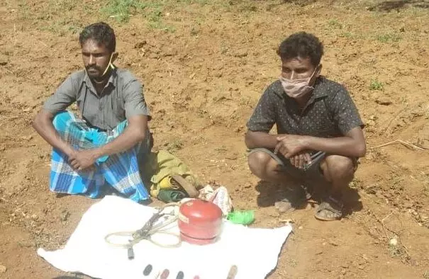 கோவை அருகே காட்டுப்பன்றி வேட்டைக்கு வைத்த வெடியை கடித்த நாய் பலி கோவை அருகே காட்டுப்பன்றி வேட்டைக்கு வைத்த வெடியை கடித்த நாய் பலி