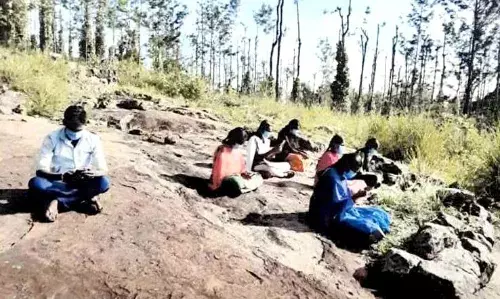 கொல்லிமலையில் சரியாக கிடைக்காத செல்போன் சிக்னல்: ஆன்லைன் வகுப்புக்கு  சிக்கல்