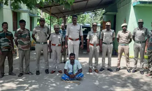 மான்கொம்பை பதுக்கியவர் கைது: சிவகிரி வனத்துறையினர் நடவடிக்கை