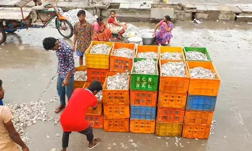 நாகை விசைப்படகு மீனவர்கள் ஏமாற்றம் :  குறைந்தளவு மீன்களுடன் கரை திரும்பினர்  மீன்  விலை கிடுகிடு உயர்வு