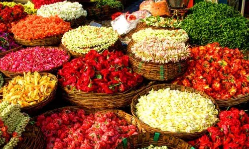 பரத்திவேலூர் பகுதியில் பூக்கள் விலை  கடும் சரிவு: விவசாயிகள் கவலை
