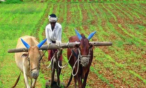 கொல்லிமலையில் உழவர் உற்பத்தியாளர் குழு கூட்டம்