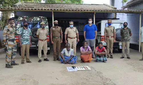 நாட்டு வெடிகுண்டு வைத்து காட்டுப்பன்றி வேட்டையாட முயற்சி - 3 பேர் கைது