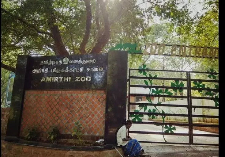 அமிர்தி உயிரியல் பூங்காவில் சுற்றுலா பயணிகள் திருப்பி அனுப்பப்பட்டனர் அமிர்தி உயிரியல் பூங்காவில் சுற்றுலா பயணிகள் திருப்பி அனுப்பப்பட்டனர்