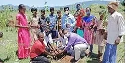 போளூர் அருகே மாணவர்கள் மரக்கன்றுகளை நட்டனர் போளூர் அருகே மாணவர்கள் மரக்கன்றுகளை நட்டனர்
