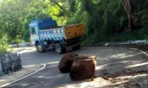 கனமழையால் கொல்லிமலை மலைப்பாதையில் பாறை சரிந்து விழுந்து போக்குவரத்து பாதிப்பு