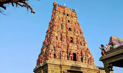 தூத்துக்குடி மாவட்டம், விளாத்திகுளம் மீனாட்சி சுந்தரேஸ்வரர் கோவிலில்  வேலைவாய்ப்பு!