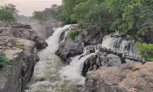 காவிரி ஆற்றில் பிலிகுண்டுலுவுக்கு நீர்வரத்து வினாடிக்கு 6000 கன அடியாக அதிகரிப்பு