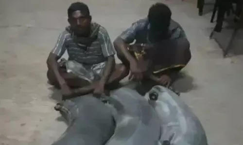 சேலம்: ஆத்தூர் அருகே டூவீலரில்  சாராயம் கடத்திய இருவர் கைது