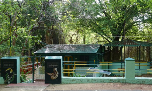 முண்டந்துறை புலிகள்  காப்பகத்தில்  முறைகேட்டில் ஈடுபட்ட வனத்துறை அதிகாரிகள் மீது நடவடிக்கை எடுக்க பொதுமக்கள் கோரிக்கை