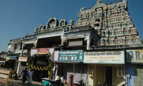 நெல்லையப்பர் கோவில் முன்பு மாநகராட்சி சார்பில் சுத்தப்படுத்தும் பணிகள் தீவிரம்