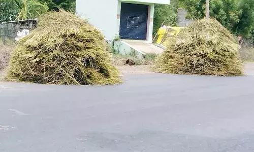 விளை பொருட்களை சாலைகளில் உலர்த்திய  விவசாயிகள்