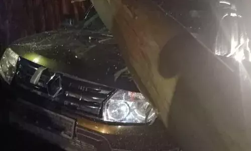 உதகை - கூடலூர் சாலையில் காரின் மேல் மரம் விழுந்து விபத்து