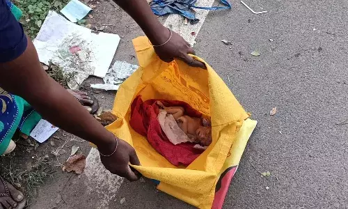 சேலம் அரசு மருத்துவமனை எதிரே பச்சிளம் பெண் குழந்தையை குப்பை தொட்டியில் வீசிய மூதாட்டி