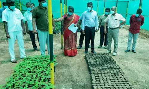 ரிஷிவந்தியம் அருகே நாற்றங்கால் மையத்தில் மாவட்ட ஆட்சித் தலைவர் ஆய்வு