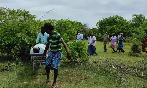 ஜெயங்கொண்டம் அருகே அரசு பஸ்டெப்போ மெக்கானிக் முந்திரி தோப்பில் தூக்கிட்டு தற்கொலை