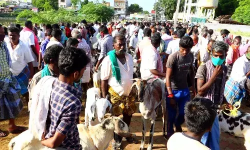 எட்டயபுரம் சந்தையில் 4 கோடி ரூபாய் அளவில் விற்பனையான ஆடுகள் -வியாபாரிகள் மகிழ்ச்சி