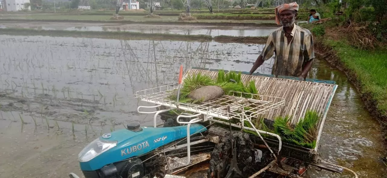 மதுரை அருகே ஆட்கள் பற்றாக்குறையால், இயந்திரம் மூலம் நடவுப் பணிகள் மதுரை அருகே ஆட்கள் பற்றாக்குறையால், இயந்திரம் மூலம் நடவுப் பணிகள்