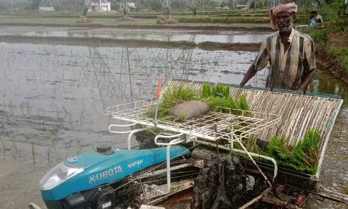 மதுரை அருகே ஆட்கள் பற்றாக்குறையால், இயந்திரம் மூலம் நடவுப் பணிகள்