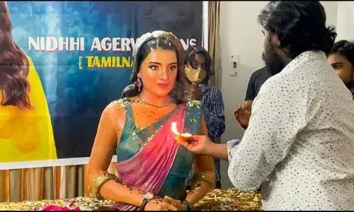 சென்னை ரசிகர்கள் கோவில் கட்ட முடிவெடுத்து நித்தி அகர்வாலுக்கு சிலை