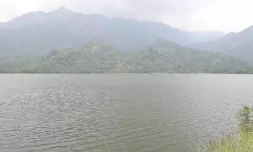 தென்காசி மாவட்ட அணைகளின் நீர்மட்ட நிலவரம்