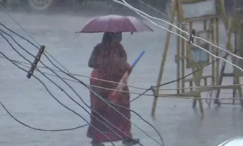 நீலகிரி மாவட்டத்தில் காலை வரை பெய்த மழை நிலவரம்