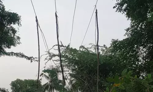 மீன் பிடிப்பதற்காக ஏரி நீரை வெளியேற்ற திருட்டு மின்சாரம் எடுக்கும் குத்தகைதாரர்