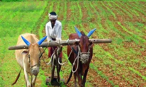 வேளாண் பொறியியில் துறை சார்பில் குறைந்த வாடகையில் இயந்திரங்கள்