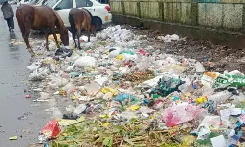 உதகையில் தூய்மை பணியாளர்கள் போராட்டம்: தேங்கும் குப்பையால் கப்ஸ்