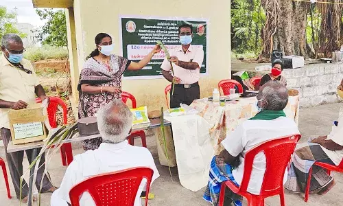 பருத்தியில் ஒருங்கிணைந்த பயிர் மேலாண்மை குறித்து விவசாயிகளுக்கு பயிற்சி