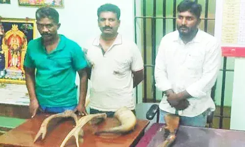 பழனி அருகே கள்ளத்துப்பாக்கி வைத்திருந்த 3 பேர் கைது செய்யப்பட்டனர்.