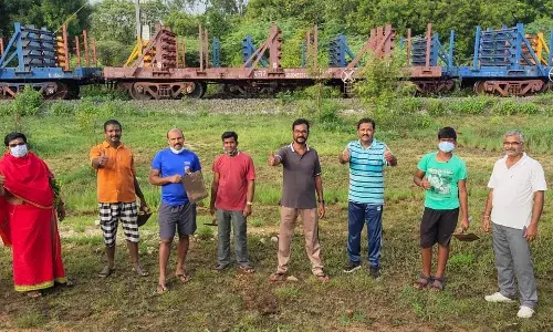 இராணிப்பேட்டையில் மண்ணும் மரமும் குழுவினர் சார்பில் பனைவிதைகள் நடப்பட்டது