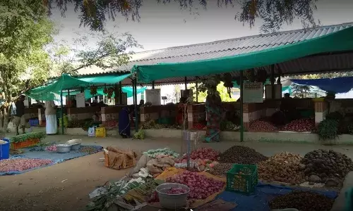 மகாராஜ நகர் உழவர் சந்தை காய்கறிகள் மற்றும் பழங்கள் விலை பட்டியல்