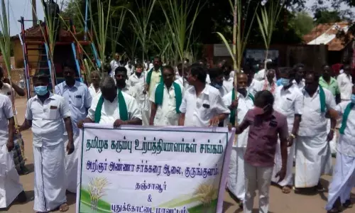 நிலுவைத்தொகை வழங்க, சக்கரை ஆலை முன் கரும்புடன் விவசாயிகள் போராட்டம்