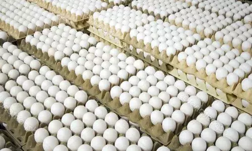 முட்டை விலை ஒரே வாரத்தில் 55 பைசா குறைந்தது; நாமக்கல்லில் பண்ணையாளர்கள் கவலை
