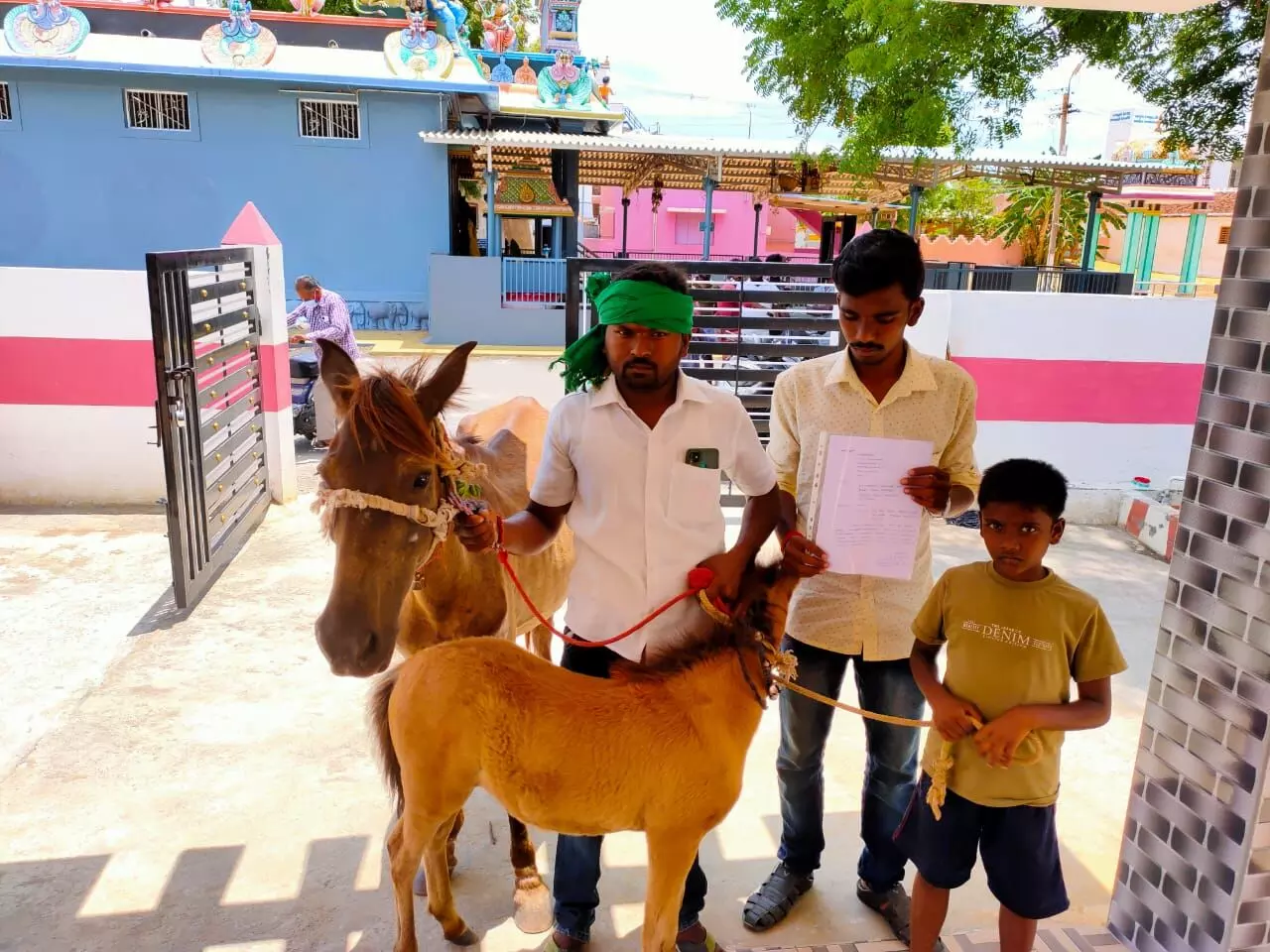 குதிரைக்கு மேற்கூரை அமைக்க கோரி ஊராட்சியில் மனு குதிரைக்கு மேற்கூரை அமைக்க கோரி ஊராட்சியில் மனு