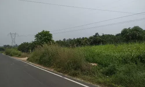 சமயசங்கிலி துணை மின் நிலையத்தில் ஆக. 5 மின் நிறுத்தம்
