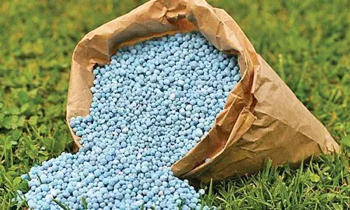 ஸ்ரீவில்லிபுத்தூரில் தரம் இல்லாத உரங்கள் விற்பனையா?: அதிகாரிகள் விசாரணை