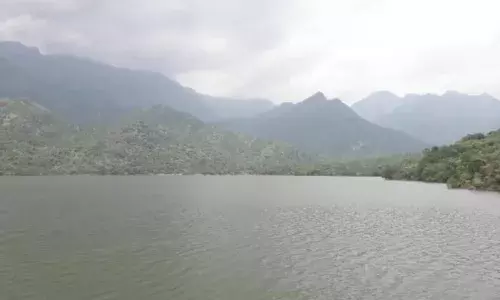 தென்காசி மாவட்ட அணைகளின்  இன்றைய நீர்மட்டம்