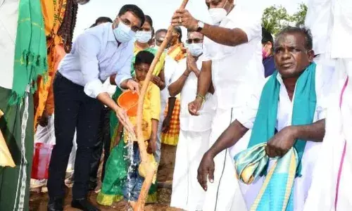 வல்லநாடு கோயிலில் 108 மரக்கன்றுகள் நடும் திட்டம்: ஆட்சியர் துவக்கி வைப்பு வல்லநாடு கோயிலில் 108 மரக்கன்றுகள் நடும் திட்டம்: ஆட்சியர் துவக்கி வைப்பு