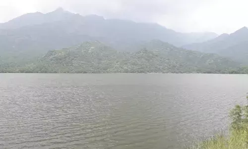 தென்காசி மாவட்ட அணைகளின் நீர்மட்டம்