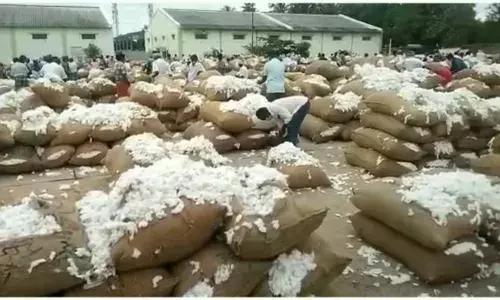 கொங்கணாபுரம் கூட்டுறவு விற்பனை சங்கத்தில்  2.68 கோடிக்கு பருத்தி ஏலம்