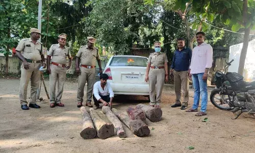 ஜோலார்பேட்டை  அருகே செம்மரம் கடத்தல்:  ஒருவர் கைது