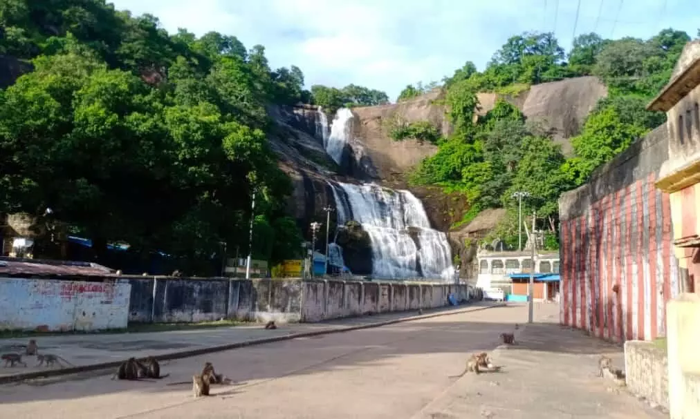 மேற்கு தொடர்ச்சி மலைப்பகுதியில் சாரல் மழை; குற்றாலத்தில் நீர் வரத்து அதிகரிப்பு மேற்கு தொடர்ச்சி மலைப்பகுதியில் சாரல் மழை; குற்றாலத்தில் நீர் வரத்து அதிகரிப்பு