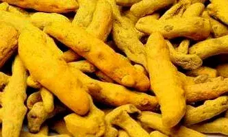 இராசிபுரம் கூட்டுறவு சங்கத்தில் ஏலம் மூலம் மஞ்சள் விற்பனை