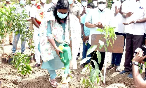 அடர்வனம் உருவாக்கும் திட்டம்: அனைவரும் பங்கேற்க கலெக்டர் வேண்டுகாேள்