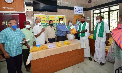 நெல்லையில் பாரம்பரிய விதை நெல் விதைப்பு பணி: கலெக்டர் துவக்கி வைப்பு நெல்லையில் பாரம்பரிய விதை நெல் விதைப்பு பணி: கலெக்டர் துவக்கி வைப்பு