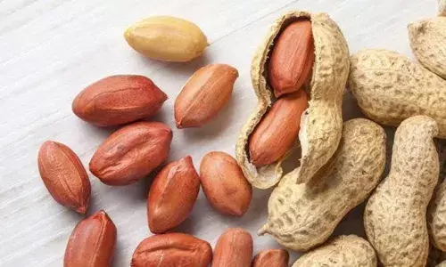 நிலக்கடலையில் அதிக மகசூல் பெற ஜிப்சம் இட வேண்டும்:வேளாண்மை உதவி இயக்குனர் தகவல்