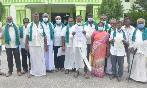 கிருஷ்ணகிரி அருகே மரங்களை வெட்டி விற்பனை செய்த தலைவரின் கணவர்,பரபரப்பு
